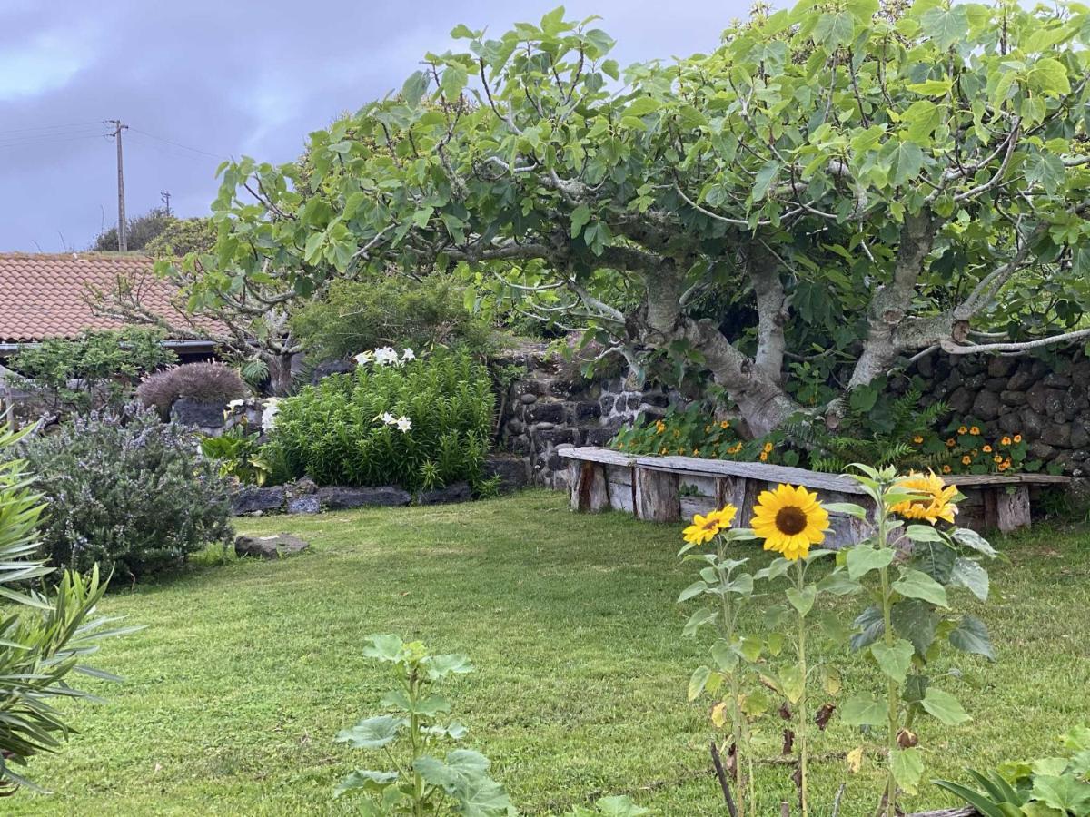 Quinta Perpetua, Casa Corvo Villa Alto do Sul ภายนอก รูปภาพ